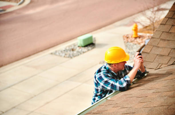 Best Gutter Installation and Roofing  in Walnut Hill, TN
